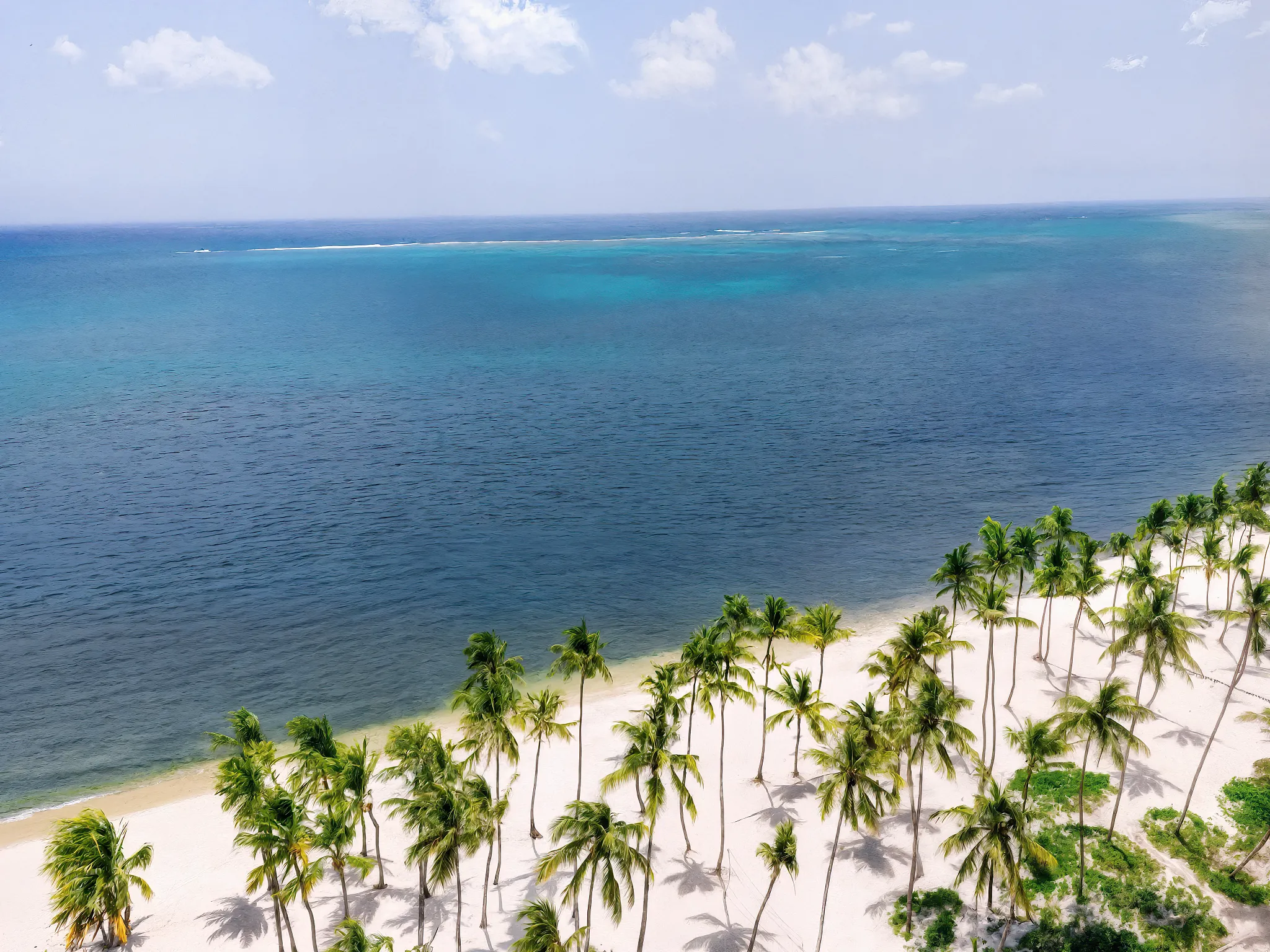 Aerial view of palm-lined white sand beach and turquoise waters at Hyatt Vivid Punta Cana in the Dominican Republic.